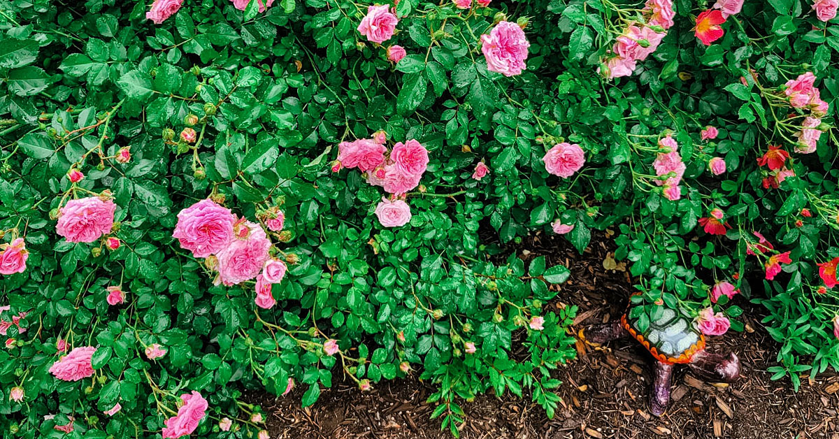 All You Need Is Love