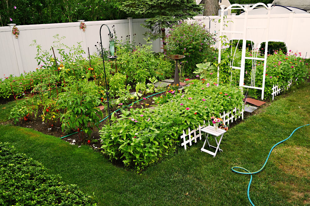 A Garden Needs Weeding