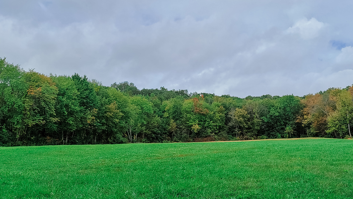 Happy Autumn!