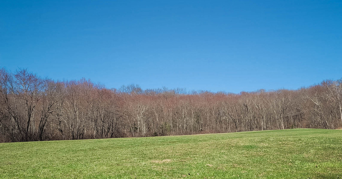 the day after good friday