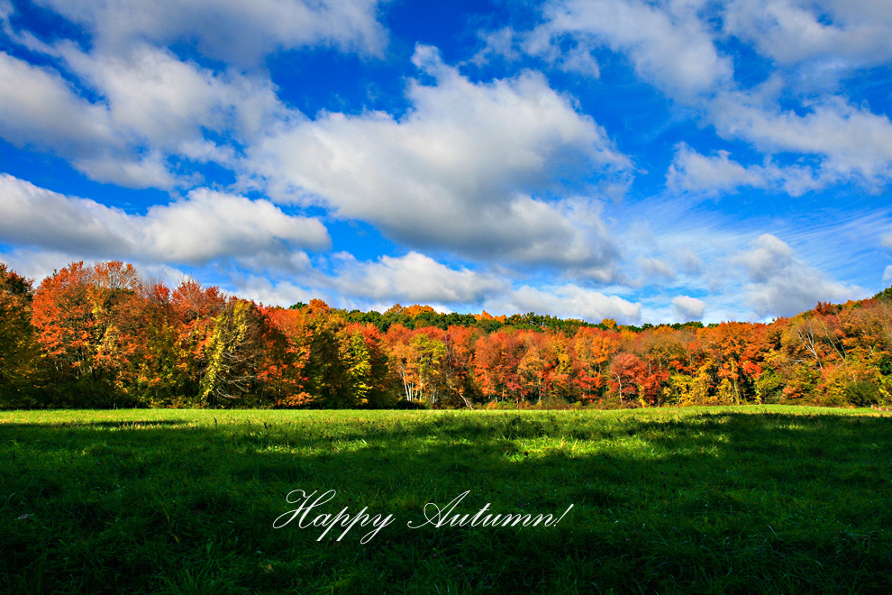 Happy Autumn