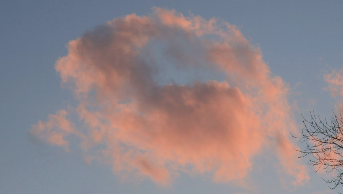 Cotton Candy